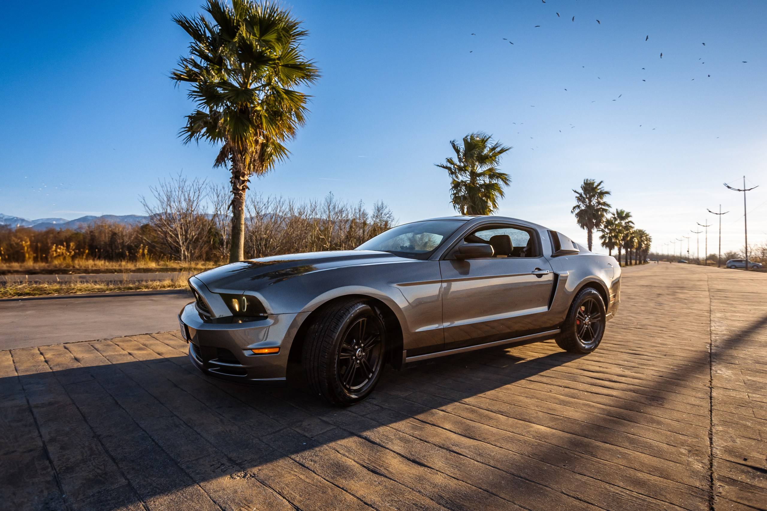 Ford Mustang фото 9